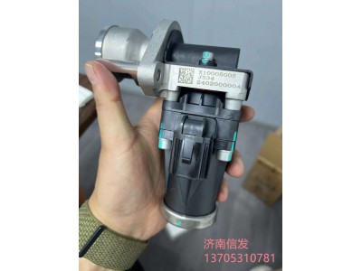 X10005005EGR閥濟(jì)南信發(fā)